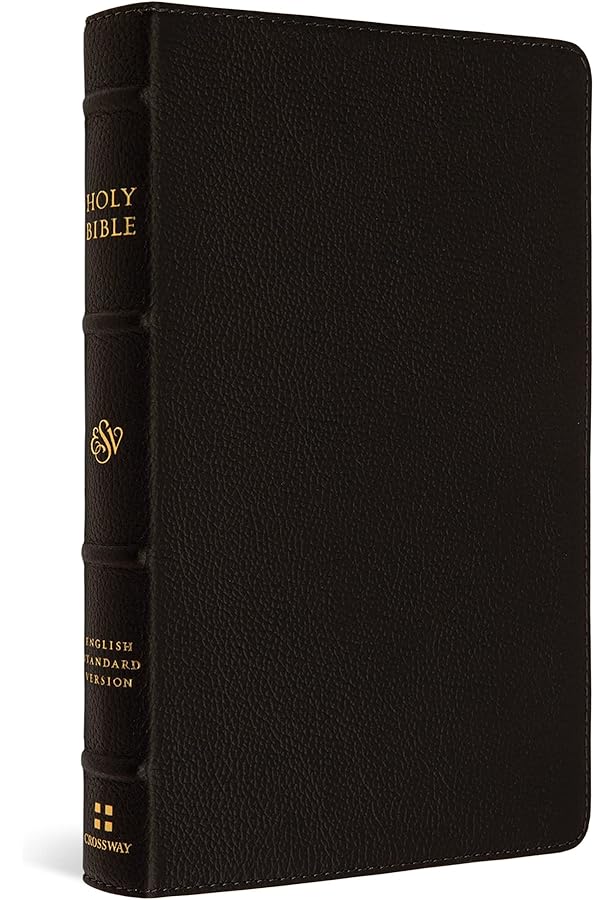 ESV Thinline Bible, Red Letter (Bonded Leather, Black): Holy Bible